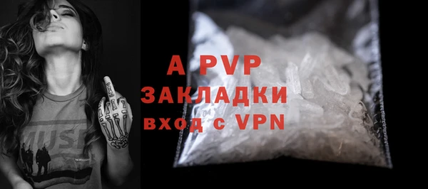 ешки Корсаков