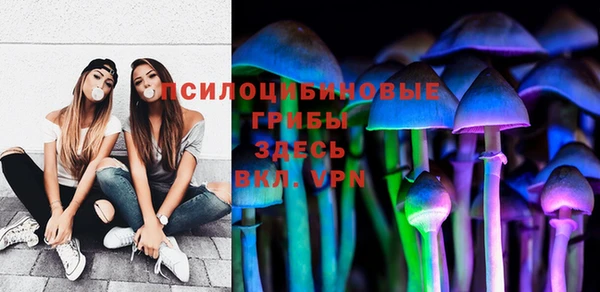 прущие крисы Коряжма