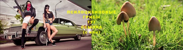 ешки Корсаков