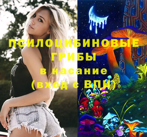 прущие крисы Коряжма