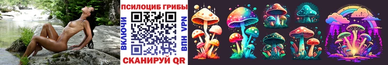 Псилоцибиновые грибы Cubensis  kraken как войти  Грозный 