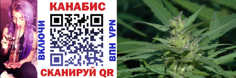 Конопля планчик магазин продажи Грозный